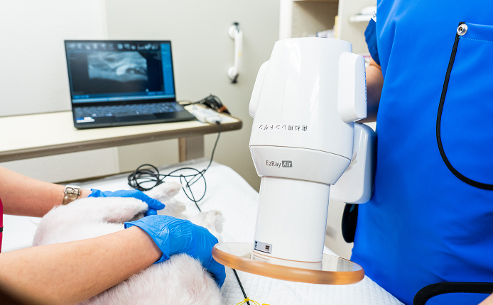 整形外科・歯科に力を入れた専門診療