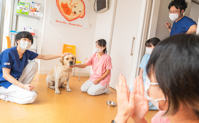 丁寧な説明とご家族への寄り添い対応