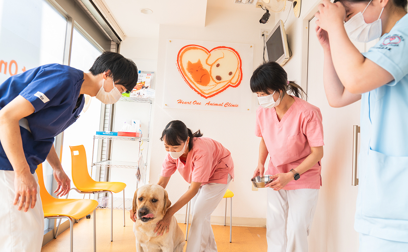 セカンドオピニオンも承っています